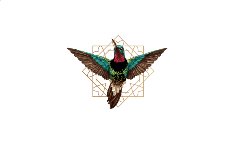 Hummingbird Collective